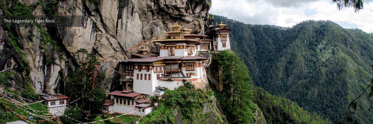Tiger Nest