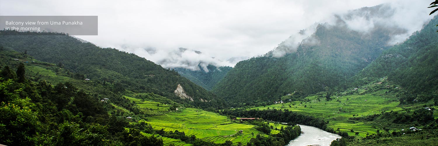 COMO Uma Punakha View