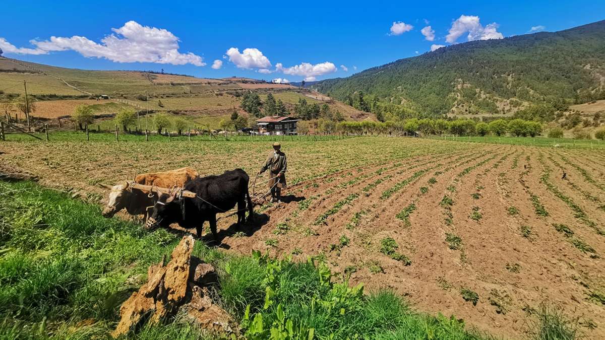 Find peace in scenic Bumthang Valley