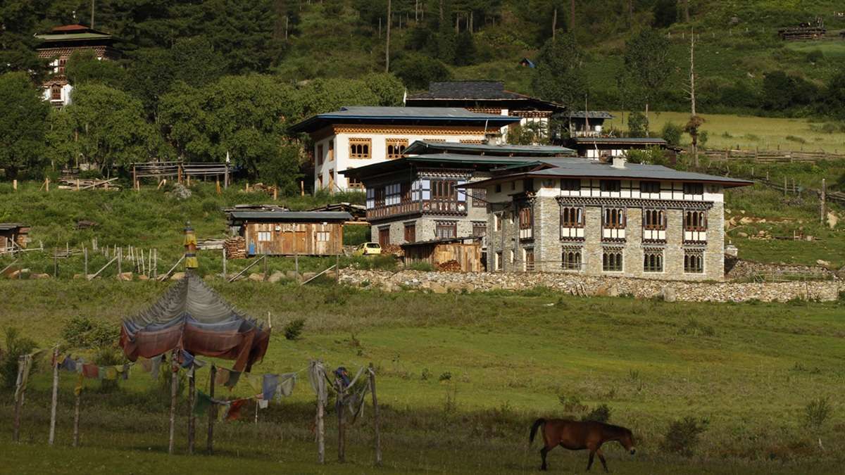 Rolling meadows embracing the pristine beauty of Phobjikha Valley
