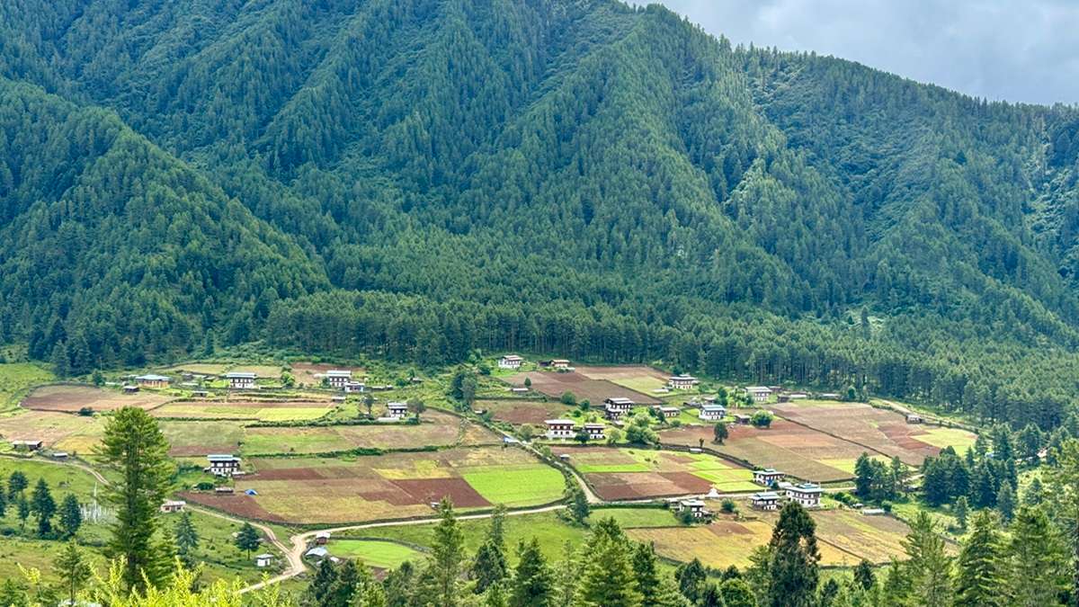 The untouched charm of beautiful Phobjikha Valley