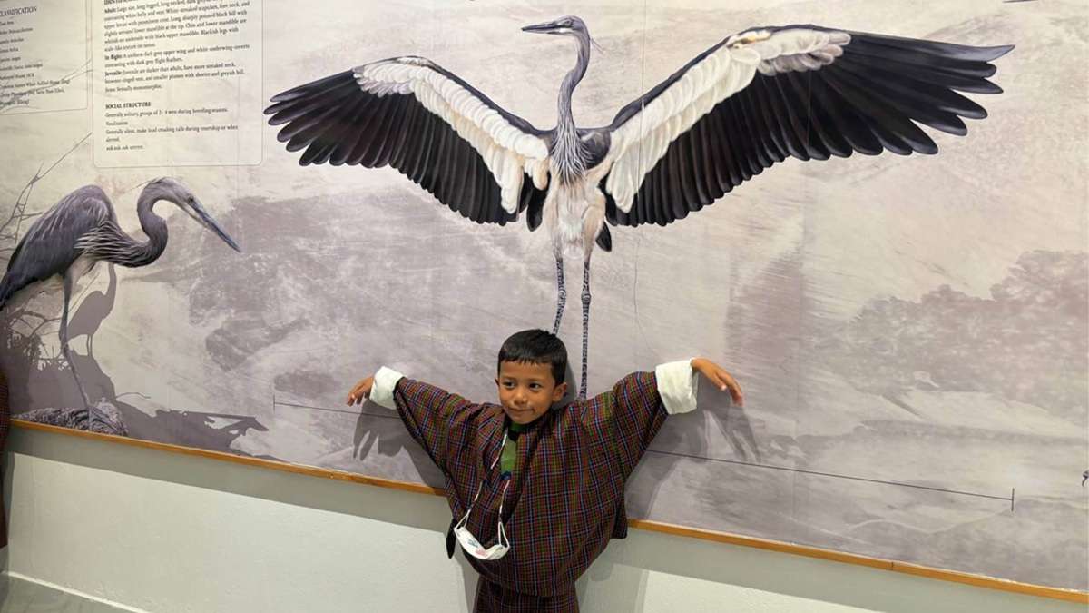 Conservation and discovery at the Black-necked Crane Information Centre