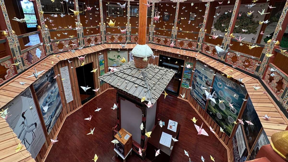 A sanctuary celebrating Black-necked Cranes in Gangtey