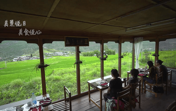 Chen Han Ricefield