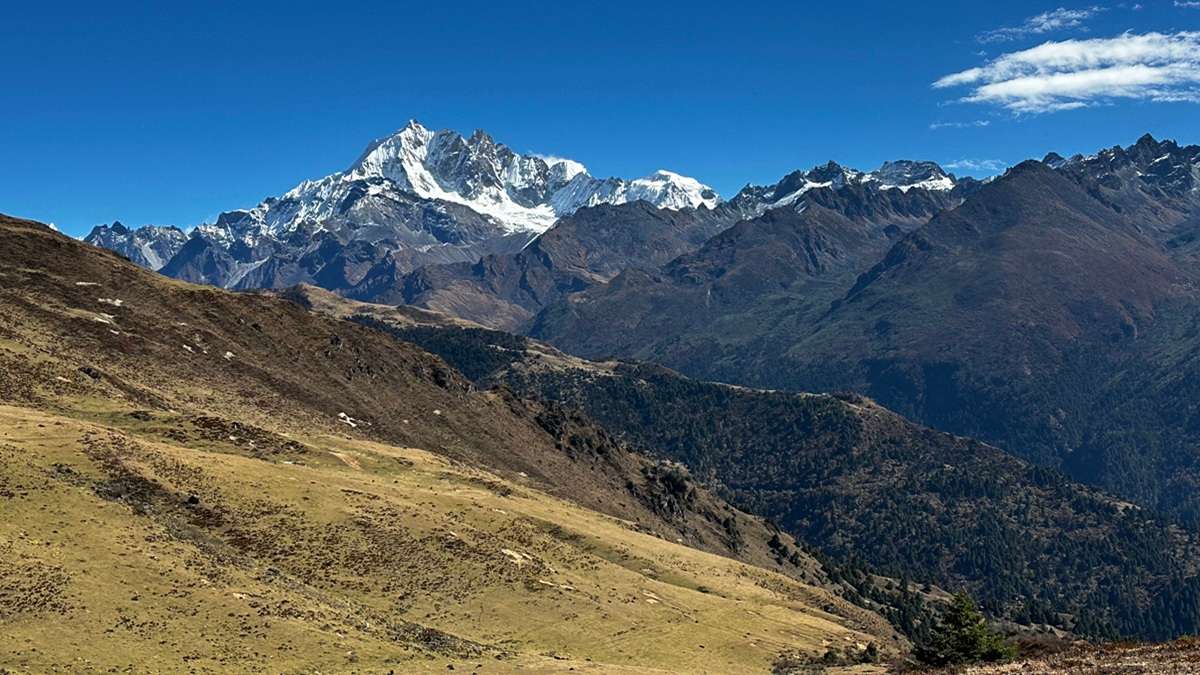 Untouched alpine grasslands stretching across the Himalayas