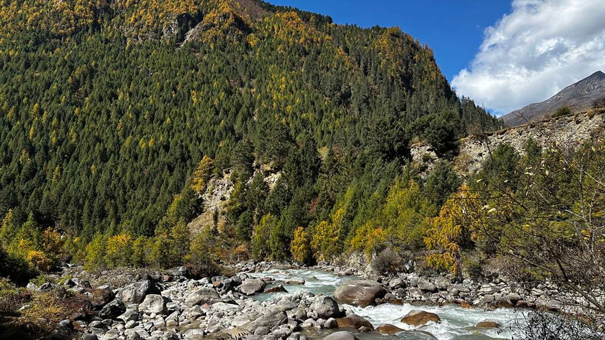 Majestic mountains embracing Laya winding rivers