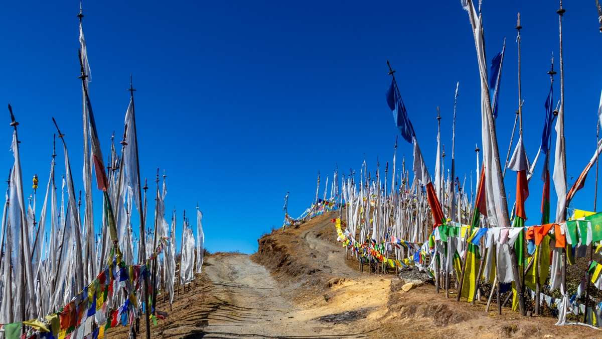 Take in breathtaking Himalayan views from Chele La Pass