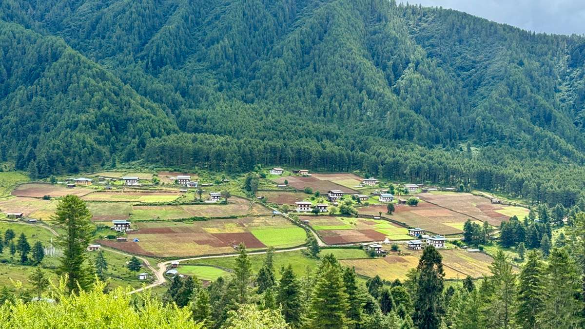 The untouched charm of beautiful Phobjikha Valley