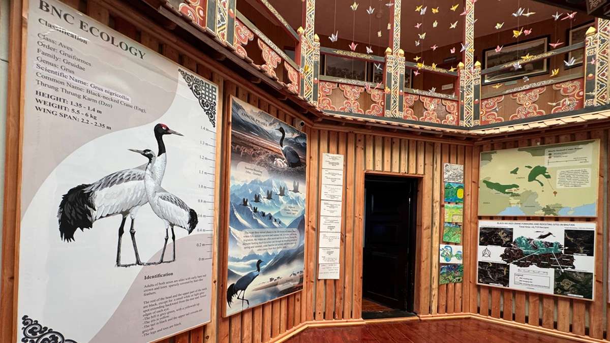 A sanctuary celebrating Black-necked Cranes in Gangtey