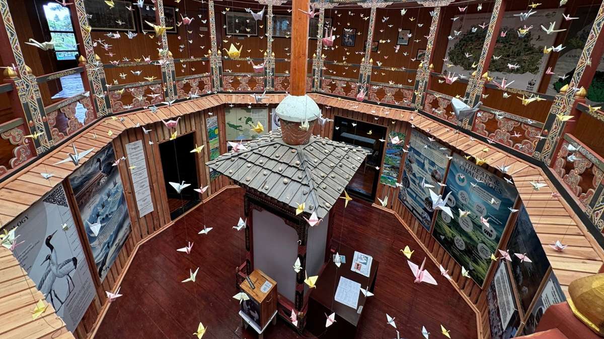 A sanctuary for Black-necked Cranes at Gangtey Information Centre