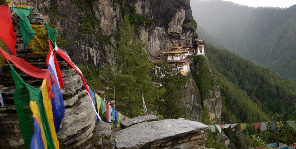 Tiger Nest