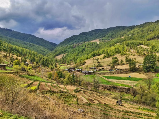 Bhutan Travel Guide 11