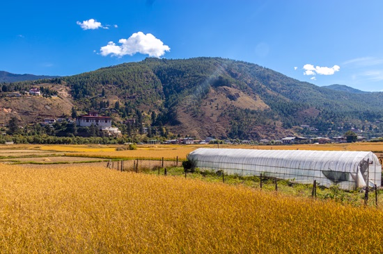 Bhutan Travel Guide 2