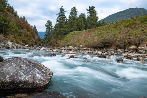 Thimphu River
