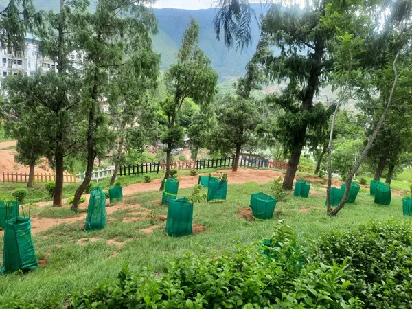 Adopt a Tree in Bhutan 1