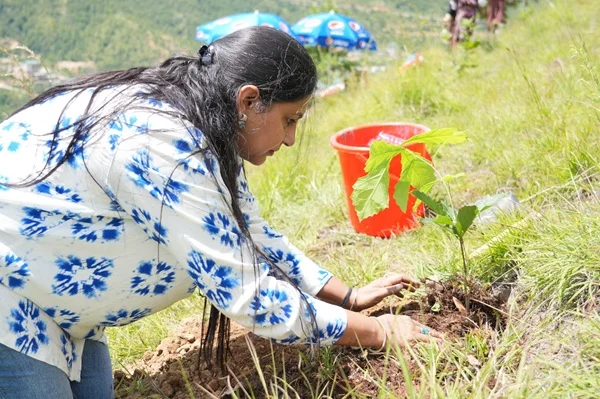 Adopt a Tree in Bhutan 3