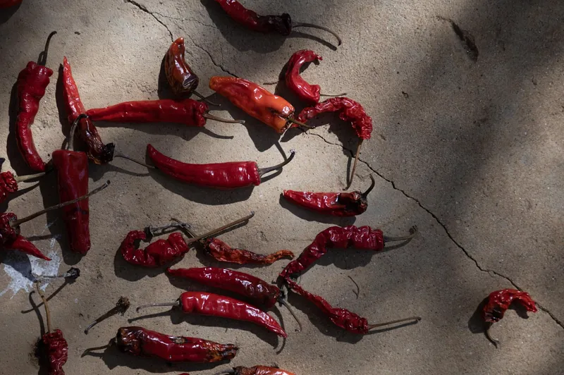 Bhutan Foods 1
