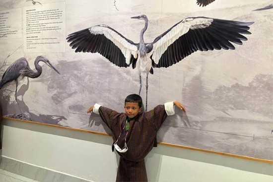 Black Necked Crane Center 3