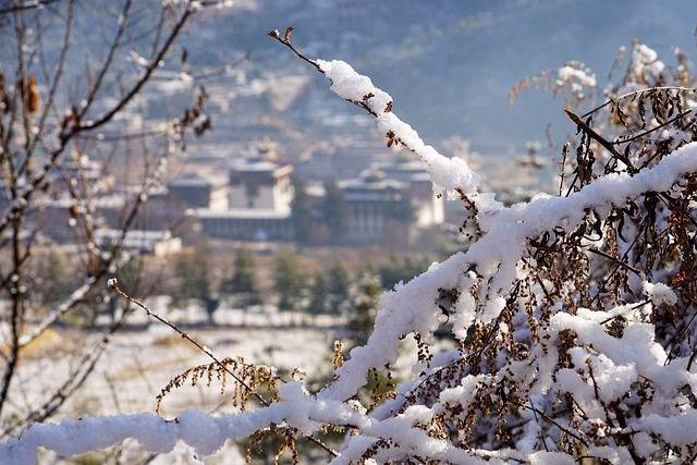snow frost Bhutan winter