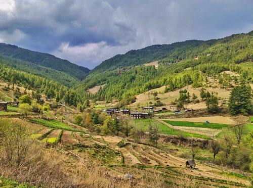 Bumthang Valley