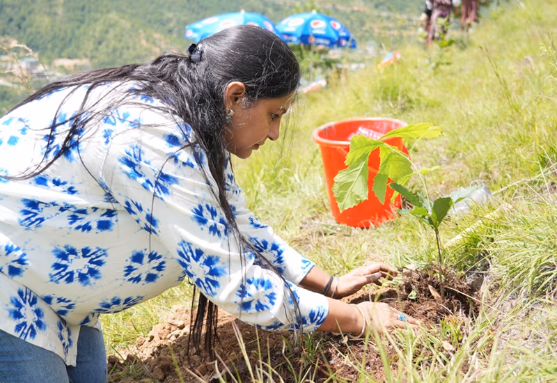 Environmental Projects