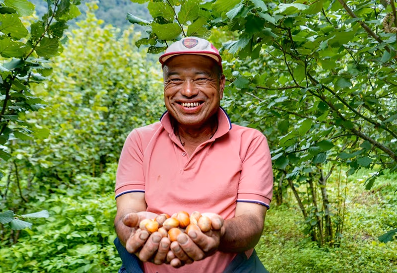 Food Security