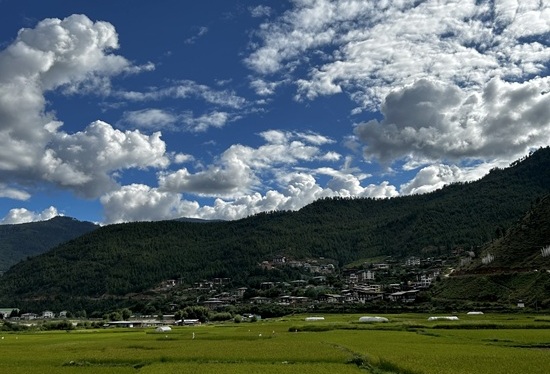 Monsoon Season View