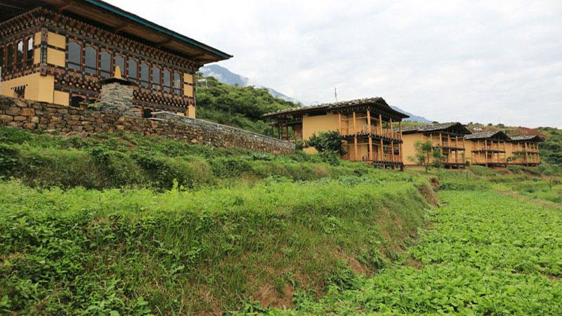 Eco Lodge