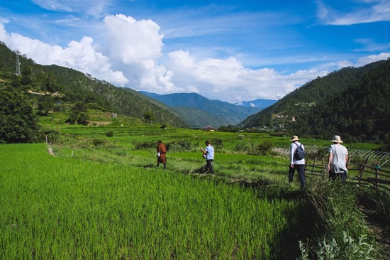 Beyond Itineraries: The Insider Experience 5