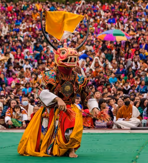 Festival Tours