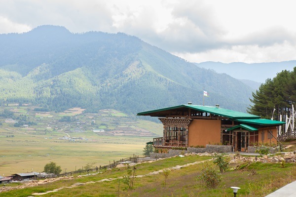 Nature View