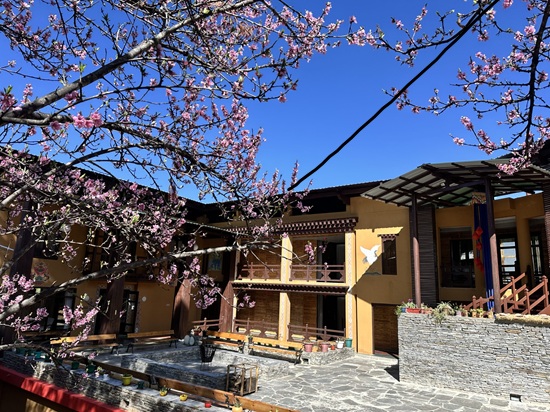 Haven Resort