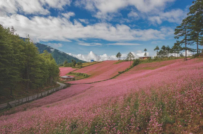 Travelling from Singapore to Bhutan 1