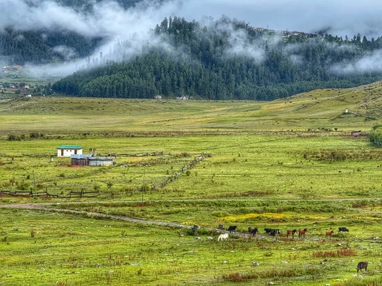 Khewang Lhakhang 2