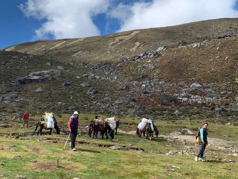 Nature Trekking 8