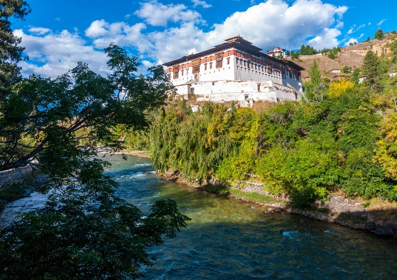 Paro 4