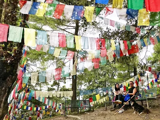 Prayer Flag Hoisting in Bhutan 2