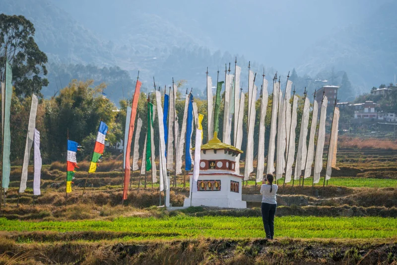 Punakha 8