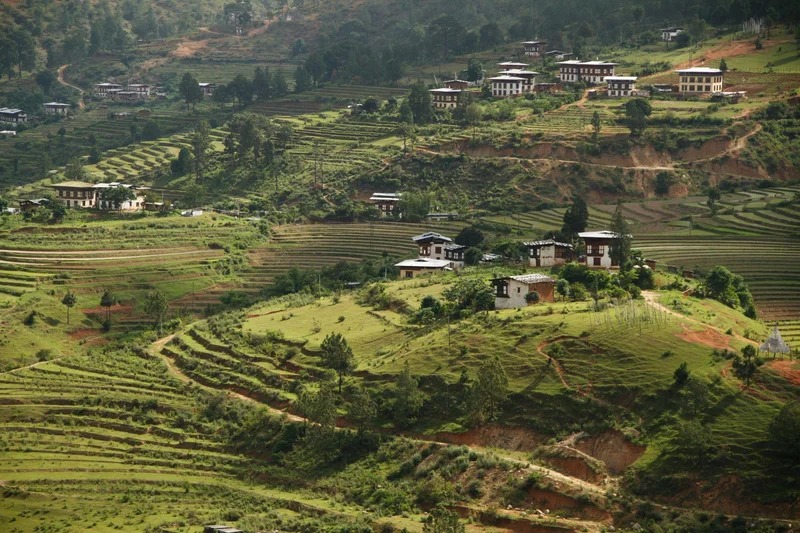 Punakha 9