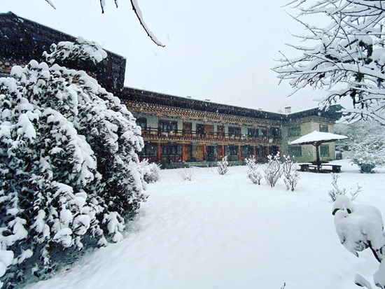 Swiss Guest House