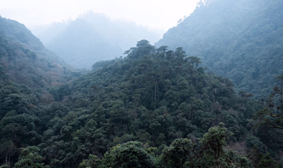 Tang Valley 2
