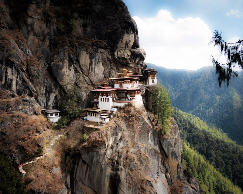 Tigers Nest 11