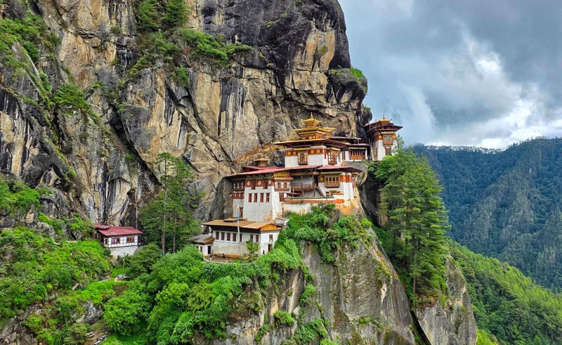 Tigers Nest 12