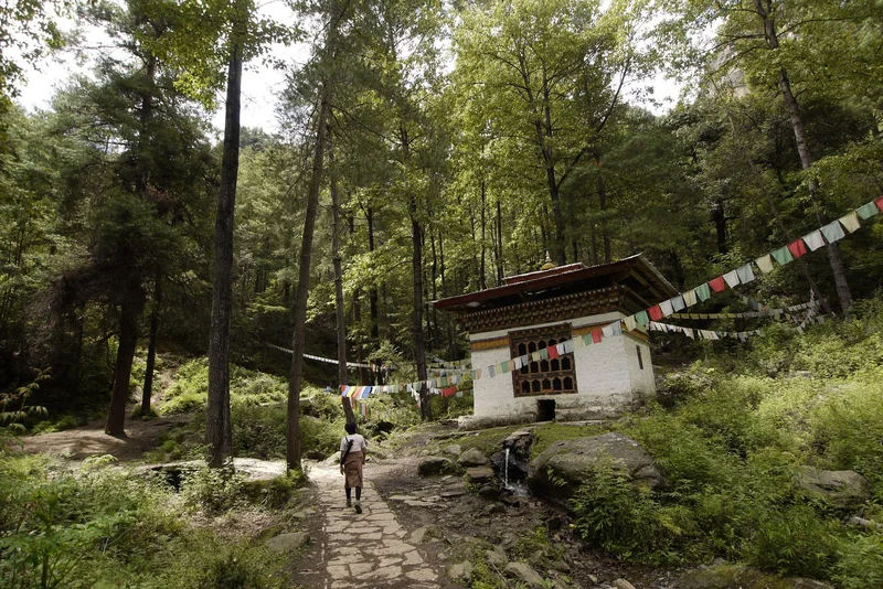 Tigers Nest 5
