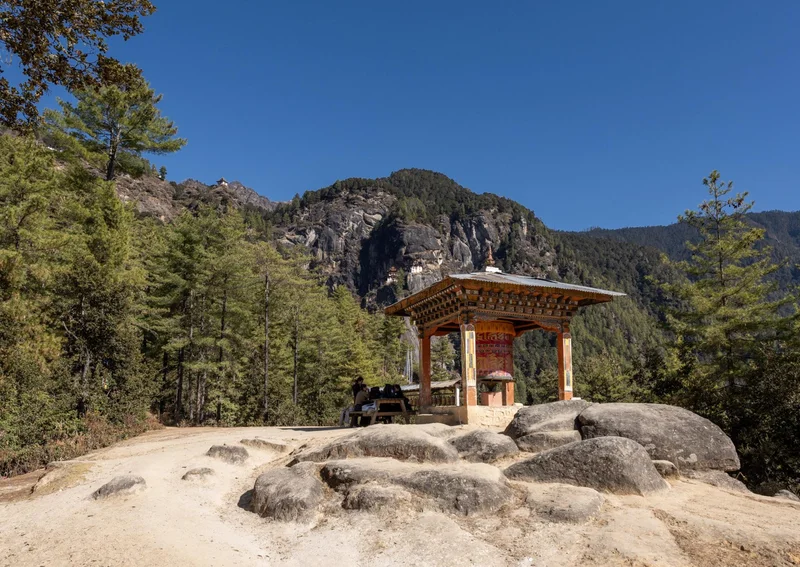 Tigers Nest 7