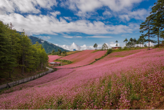 Travelling to Bhutan from Europe 4