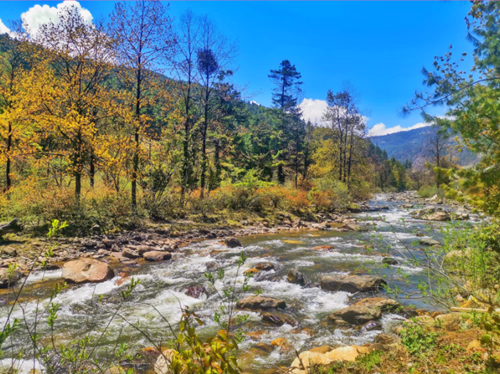 Travelling to Bhutan from India 3