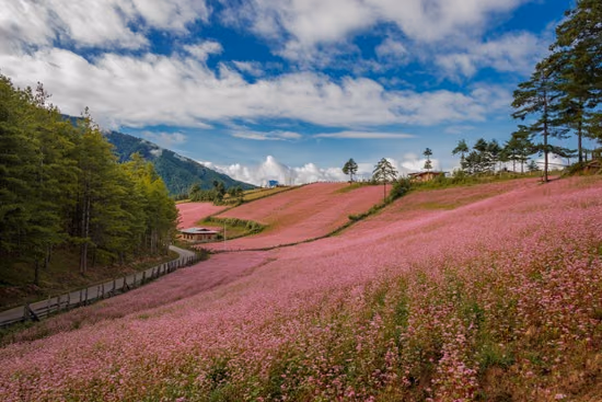 Best Time to Visit Bhutan 2
