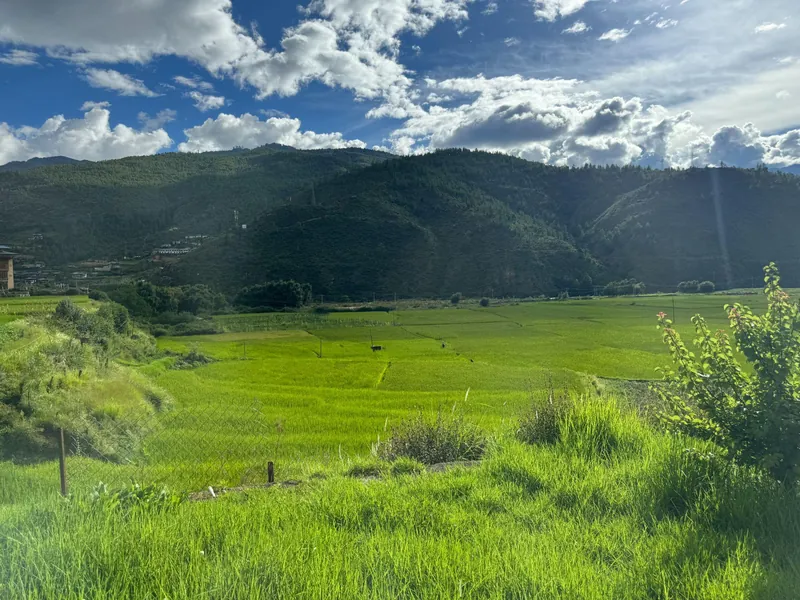 Bhutans weather in August 3