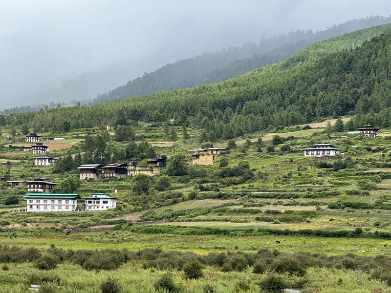 Bhutans weather in August 5